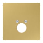 Jung - Enjoliveur pour 1 mini fiche 63WBT et LKP63RT/SW ou CIB63 / LS Laiton doré