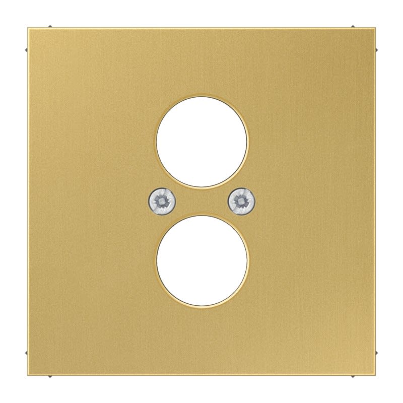 Jung - Enjoliveur pour 2 mini fiches 63WBT et LKP63RT/SW ou CIB63 / LS Laiton doré