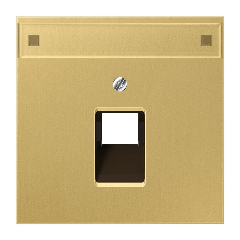 Jung - Enjoliveur pour prise RJ simple IAE/UAE avec PE / LS 990 Laiton doré