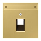 Jung - Enjoliveur pour prise RJ simple IAE/UAE avec PE / LS 990 Laiton doré