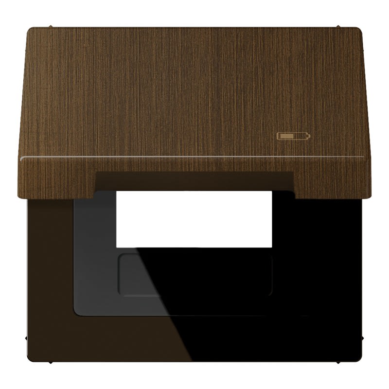 Jung - Enjoliveur couvercle symbole USB / LS 990 Laiton ancien