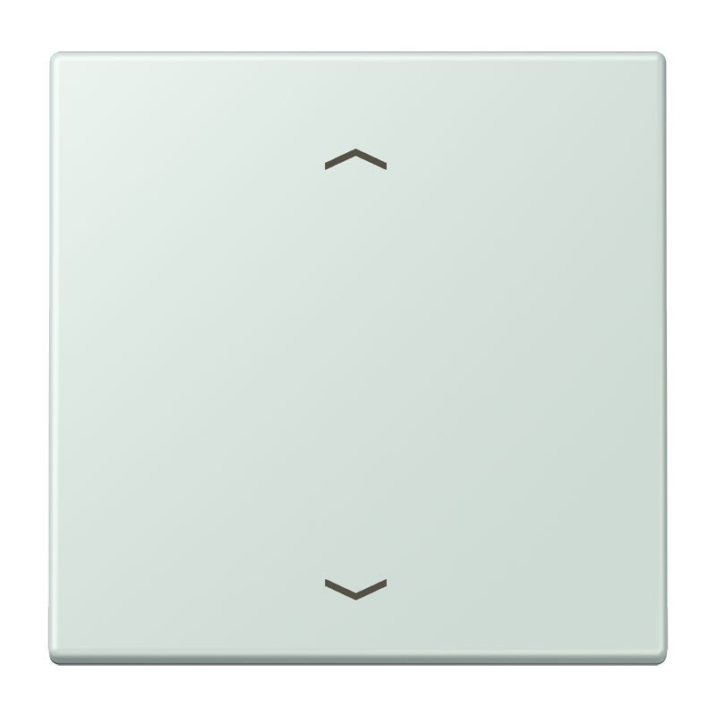 Jung - Enjo 1 touche + flèches pour mécanisme BP-BCU LSCD10xxxST / LS 990 LC 32034