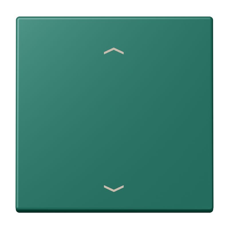 Jung - Enjo 1 touche + flèches pour mécanisme BP-BCU LSCD10xxxST / LS 990 LC 32040