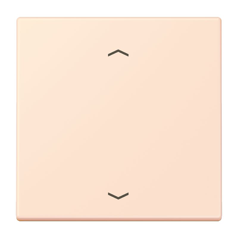 Jung - Enjo 1 touche + flèches pour mécanisme BP-BCU LSCD10xxxST / LS 990 LC 32082