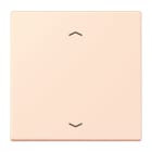 Jung - Enjo 1 touche + flèches pour mécanisme BP-BCU LSCD10xxxST / LS 990 LC 32082