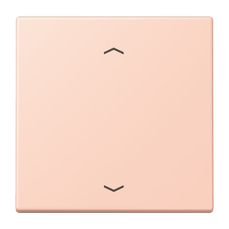 Jung - Enjo 1 touche + flèches pour mécanisme BP-BCU LSCD10xxxST / LS 990 LC 32114