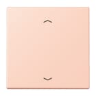 Jung - Enjo 1 touche + flèches pour mécanisme BP-BCU LSCD10xxxST / LS 990 LC 32114