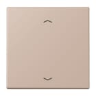 Jung - Enjo 1 touche + flèches pour mécanisme BP-BCU LSCD10xxxST / LS 990 LC 32131