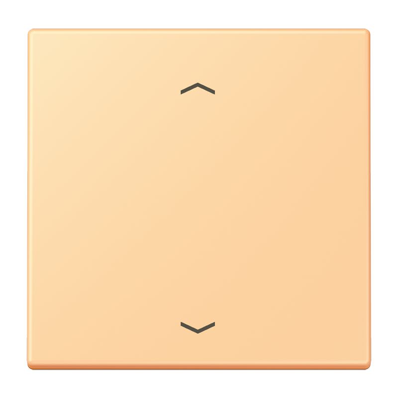 Jung - Enjo 1 touche + flèches pour mécanisme BP-BCU LSCD10xxxST / LS 990 LC 4320P