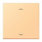 Jung - Enjo 1 touche + flèches pour mécanisme BP-BCU LSCD10xxxST / LS 990 LC 4320P