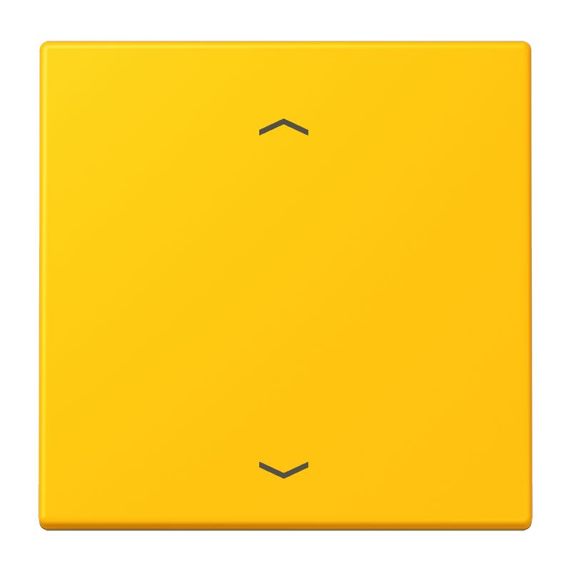 Jung - Enjo 1 touche + flèches pour mécanisme BP-BCU LSCD10xxxST / LS 990 LC 4320W