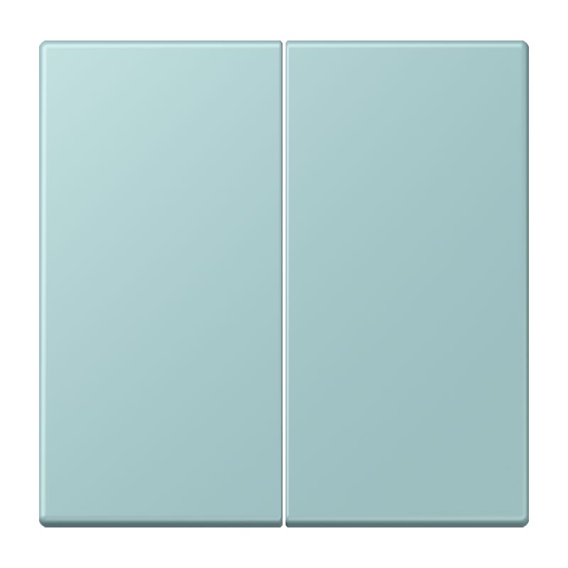 Jung - Enjo double touche pour mécanisme BP-BCU F10 LSCD10xxxST / LS 990 LC 32033