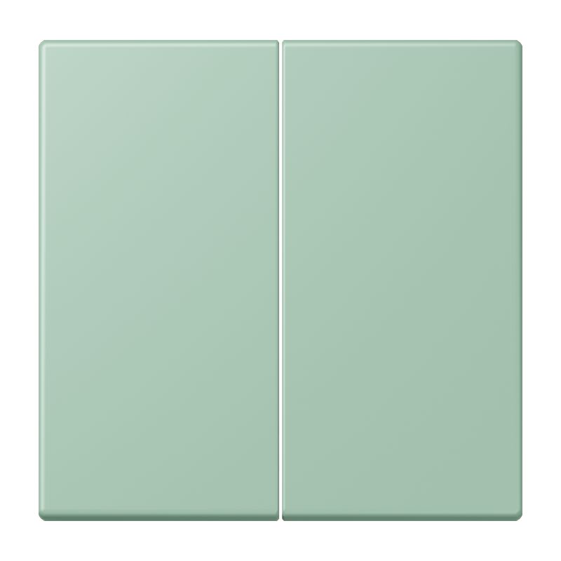 Jung - Enjo double touche pour mécanisme BP-BCU F10 LSCD10xxxST / LS 990 LC 32041