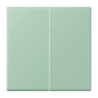 Jung - Enjo double touche pour mécanisme BP-BCU F10 LSCD10xxxST / LS 990 LC 32041