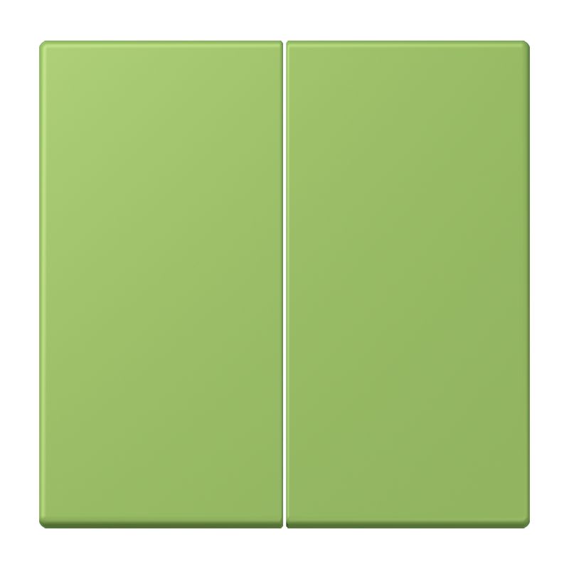 Jung - Enjo double touche pour mécanisme BP-BCU F10 LSCD10xxxST / LS 990 LC 32051