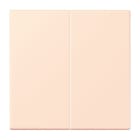 Jung - Enjo double touche pour mécanisme BP-BCU F10 LSCD10xxxST / LS 990 LC 32082