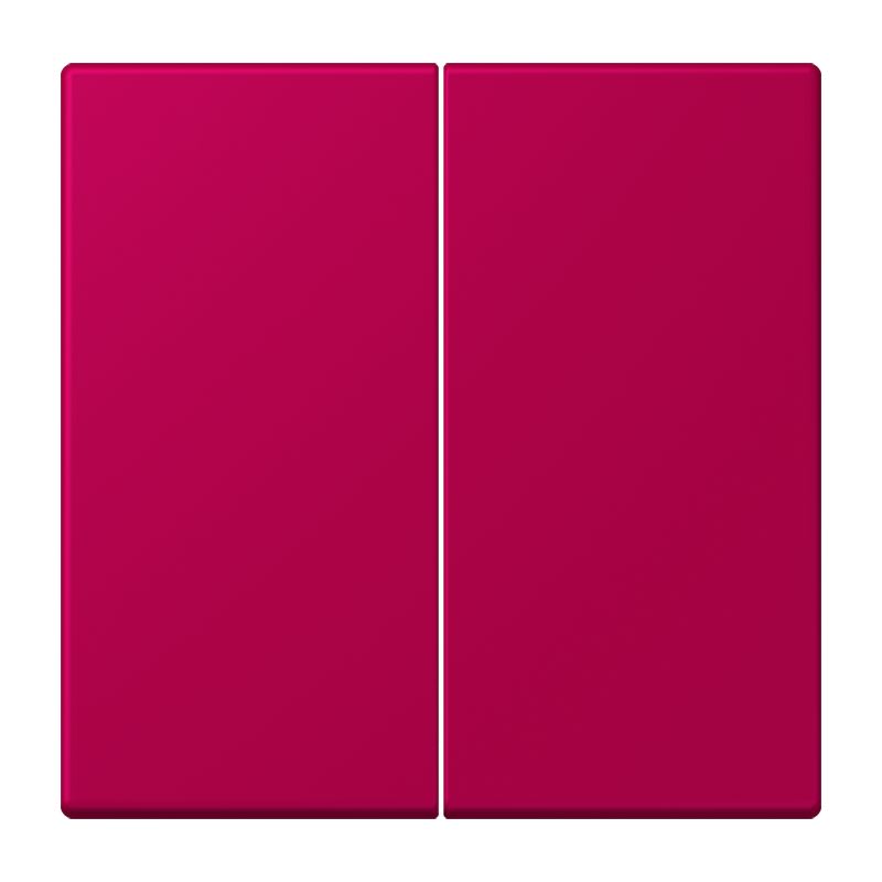 Jung - Enjo double touche pour mécanisme BP-BCU F10 LSCD10xxxST / LS 990 LC 32101