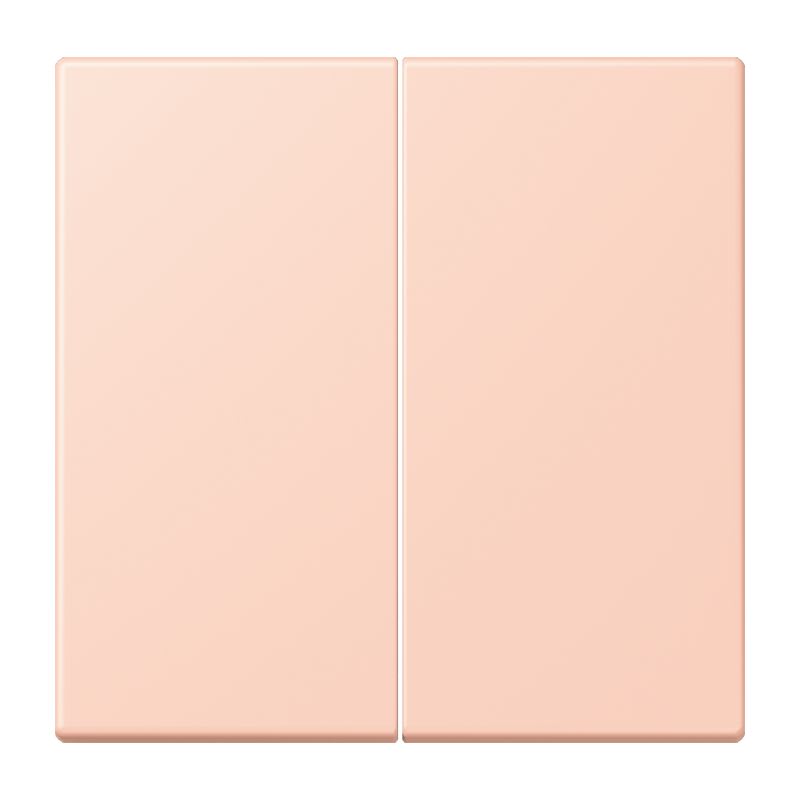 Jung - Enjo double touche pour mécanisme BP-BCU F10 LSCD10xxxST / LS 990 LC 32114