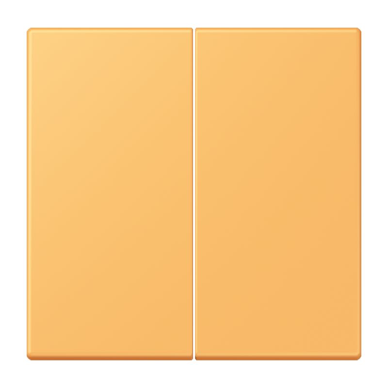 Jung - Enjo double touche pour mécanisme BP-BCU F10 LSCD10xxxST / LS 990 LC 4320L