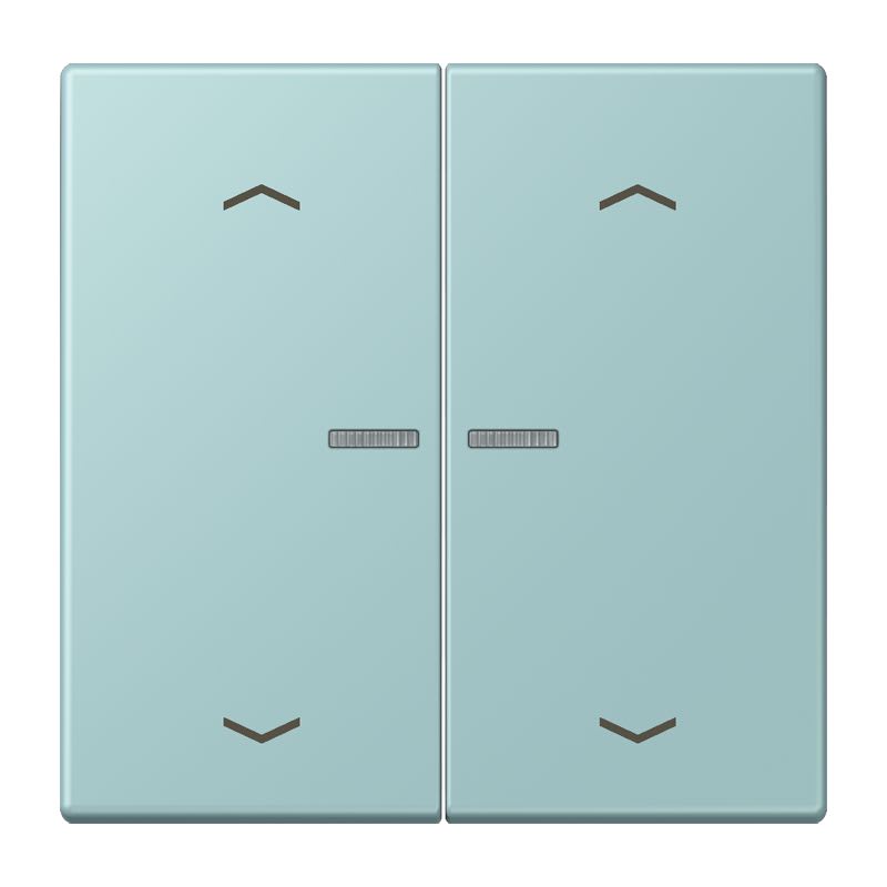 Jung - Enjo 2 touches + flèches et voyant méc BP-BCU LSCD10xxxST / LS 990 LC 32033