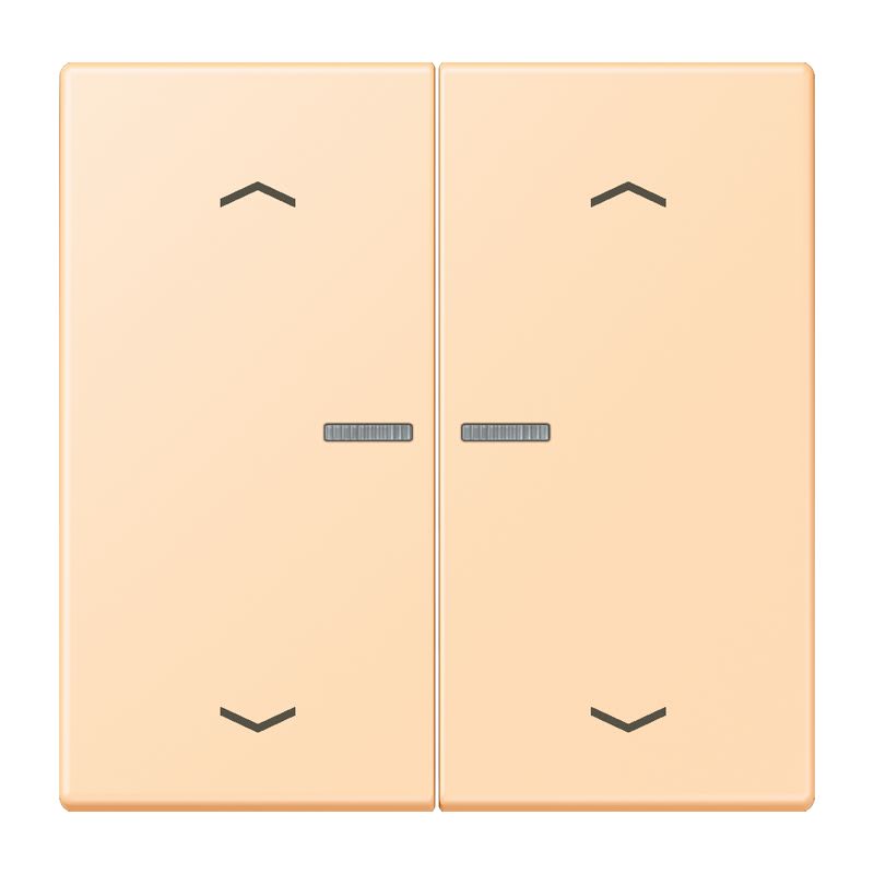 Jung - Enjo 2 touches + flèches et voyant méc BP-BCU LSCD10xxxST / LS 990 LC 32060