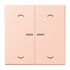 Jung - Enjo 2 touches + flèches et voyant méc BP-BCU LSCD10xxxST / LS 990 LC 32114