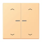 Jung - Enjo 2 touches + flèches et voyant méc BP-BCU LSCD10xxxST / LS 990 LC 4320P