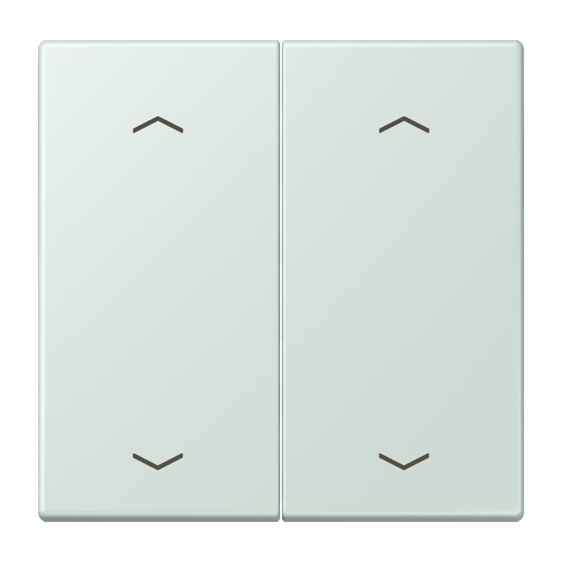 Jung - Enjo double touche flèches pour mécanisme BP-BCU LSCD10xxxST / LS 990 LC 32034