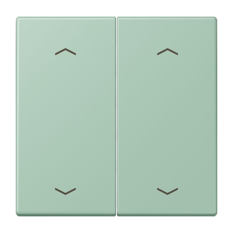 Jung - Enjo double touche flèches pour mécanisme BP-BCU LSCD10xxxST / LS 990 LC 32041