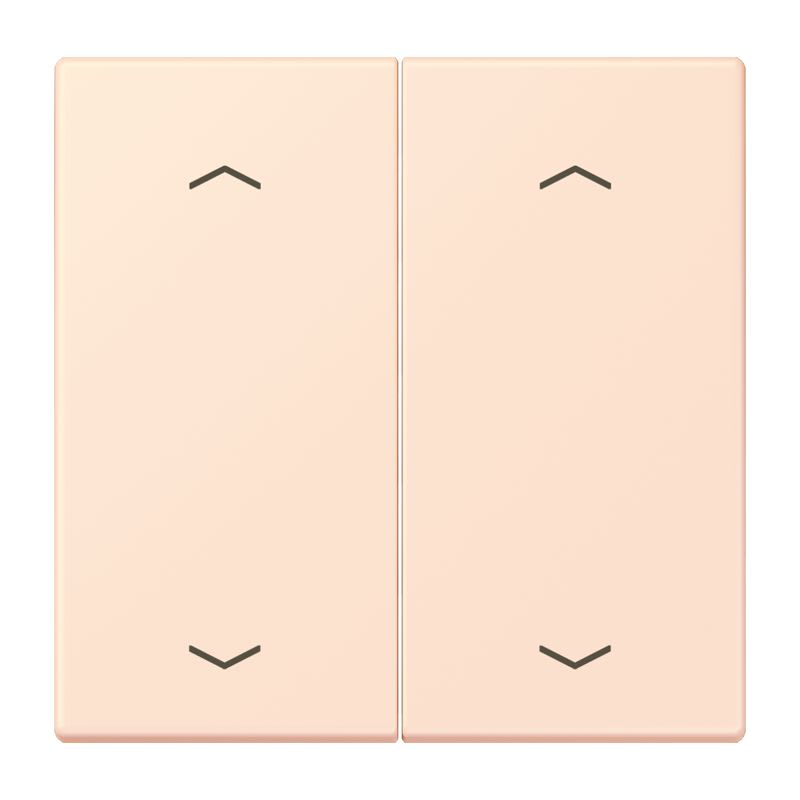 Jung - Enjo double touche flèches pour mécanisme BP-BCU LSCD10xxxST / LS 990 LC 32082