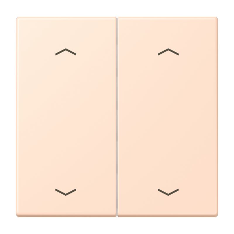 Jung - Enjo double touche flèches pour mécanisme BP-BCU LSCD10xxxST / LS 990 LC 32091