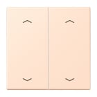 Jung - Enjo double touche flèches pour mécanisme BP-BCU LSCD10xxxST / LS 990 LC 32091