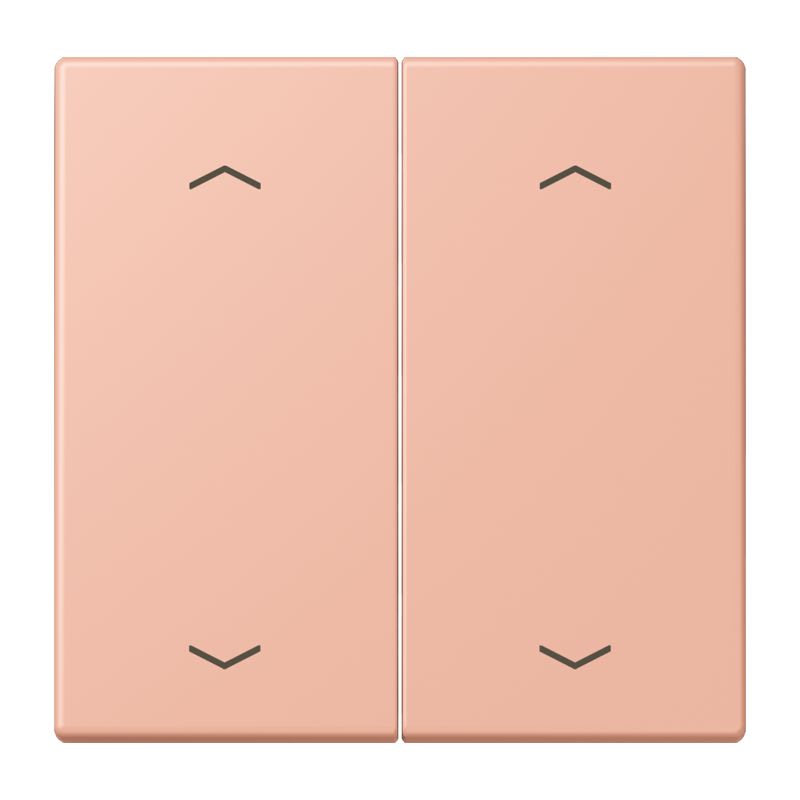 Jung - Enjo double touche flèches pour mécanisme BP-BCU LSCD10xxxST / LS 990 LC 32102