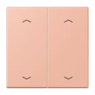 Jung - Enjo double touche flèches pour mécanisme BP-BCU LSCD10xxxST / LS 990 LC 32102