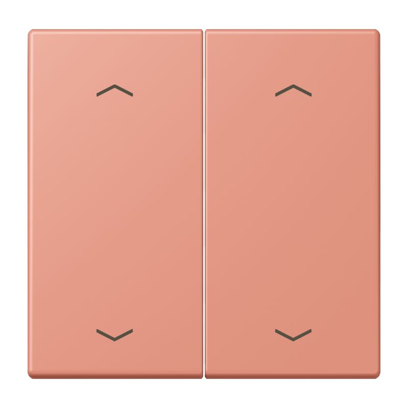 Jung - Enjo double touche flèches pour mécanisme BP-BCU LSCD10xxxST / LS 990 LC 32111