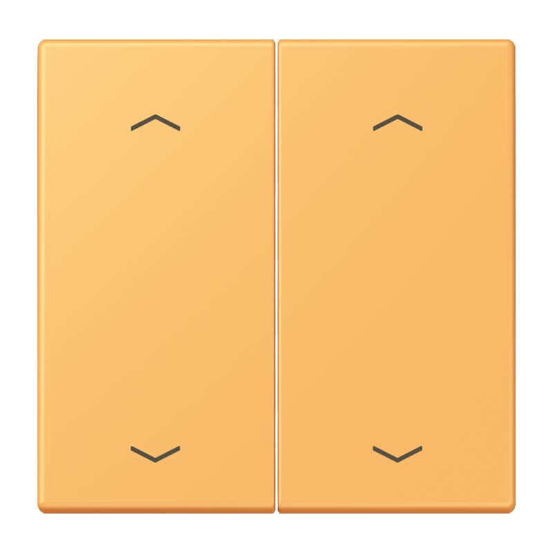 Jung - Enjo double touche flèches pour mécanisme BP-BCU LSCD10xxxST / LS 990 LC 4320L