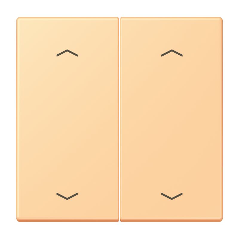 Jung - Enjo double touche flèches pour mécanisme BP-BCU LSCD10xxxST / LS 990 LC 4320P