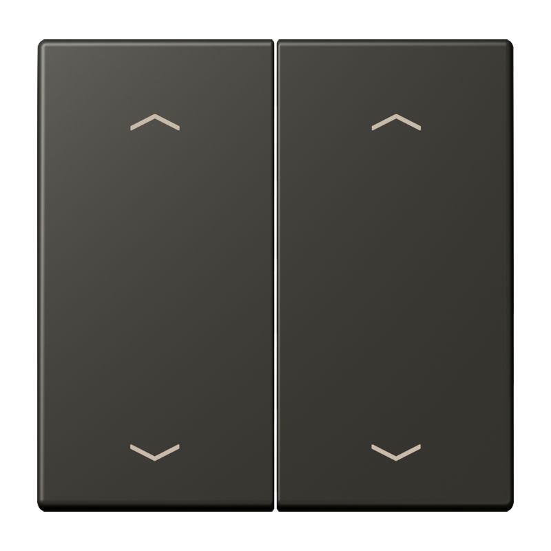 Jung - Enjo double touche flèches pour mécanisme BP-BCU LSCD10xxxST / LS 990 LC 4320R