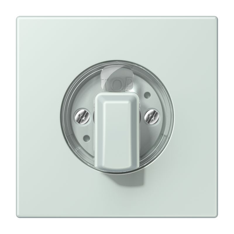 Jung - Enjo pour interrupteur rotatif / LS 990 LC 32034