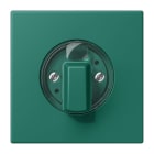 Jung - Enjo pour interrupteur rotatif / LS 990 LC 32040