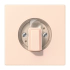 Jung - Enjo pour interrupteur rotatif / LS 990 LC 32082