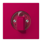 Jung - Enjo pour interrupteur rotatif / LS 990 LC 32101