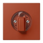 Jung - Enjo pour interrupteur rotatif / LS 990 LC 32110