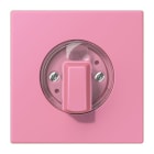 Jung - Enjo pour interrupteur rotatif / LS 990 LC 4320C