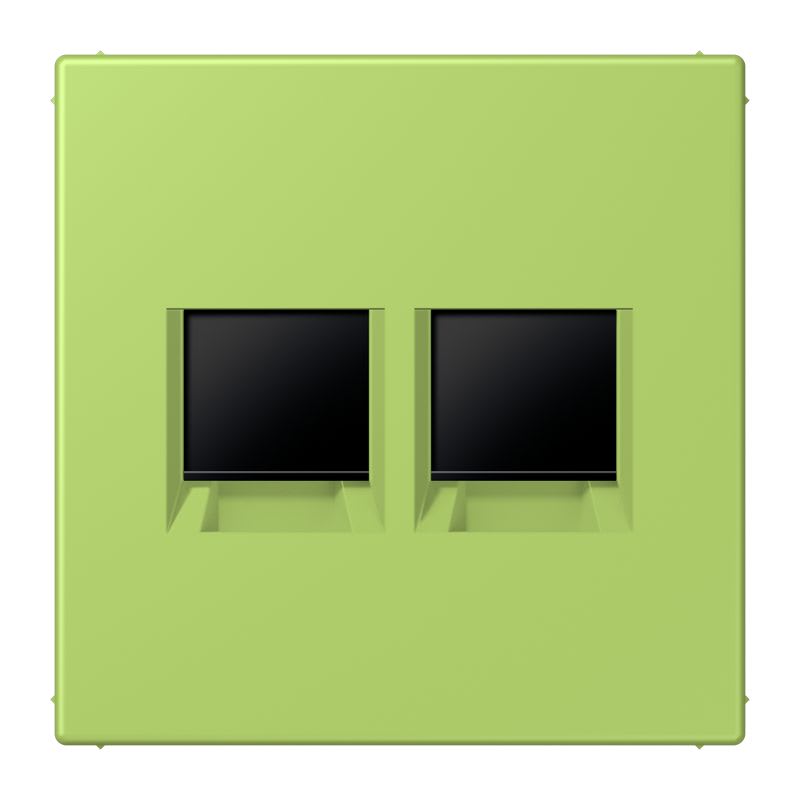 Jung - Enjo pour deux noyaux Modulear-Jack / LS 990 LC 32052