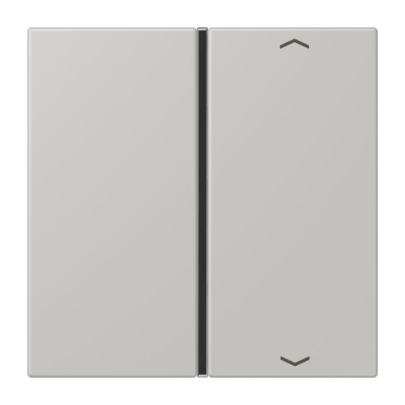 Jung - Touche 1 voie avec flèches platine F40 / LS 990 LC 32013