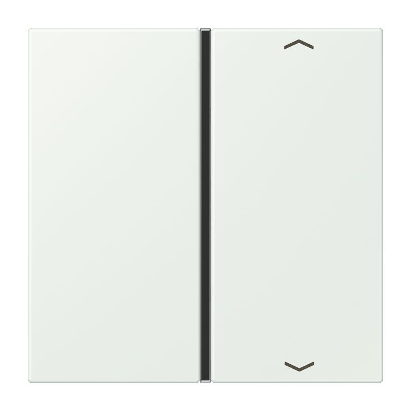 Jung - Touche 1 voie avec flèches platine F40 / LS 990 LC 32024