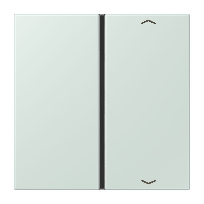 Jung - Touche 1 voie avec flèches platine F40 / LS 990 LC 32034
