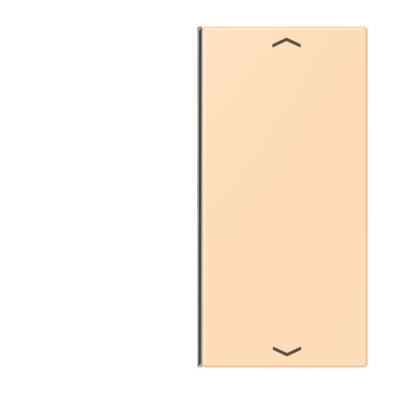 Jung - Touche 2 voies avec flèches platine F40 / LS 990 LC 32060