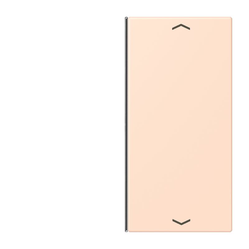 Jung - Touche 2 voies avec flèches platine F40 / LS 990 LC 32091